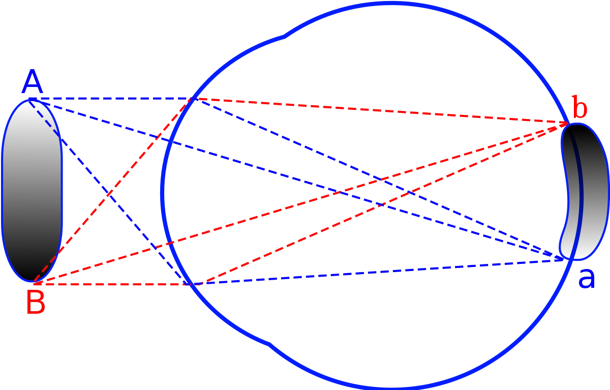 A cover of "Test333" cluster. The owner is sridvijay. The cluster consists of 1 element.